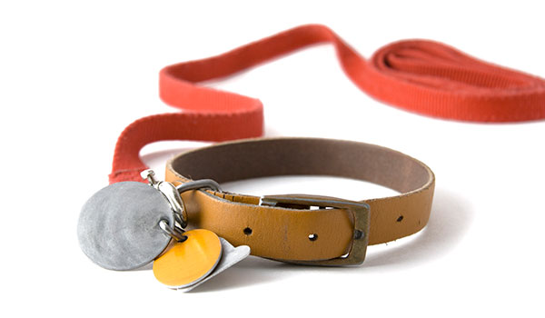 dog-registration